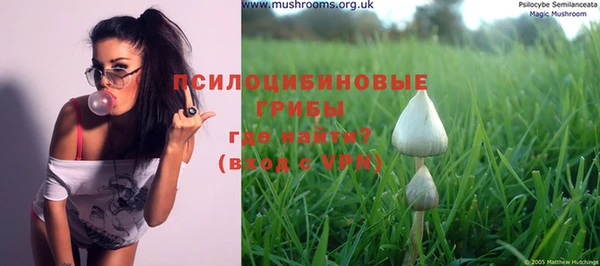 MDMA Premium VHQ Алзамай