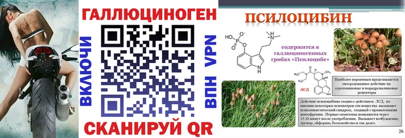 Псилоцибиновые грибы Magic Shrooms  как найти наркотики  это клад  Красноперекопск 